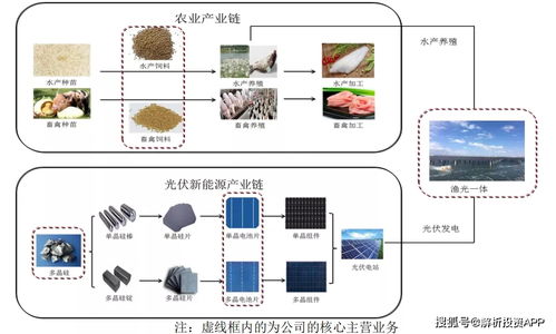 产品价格接近翻倍，未来仍供不应求，这家公司业绩大爆发分析