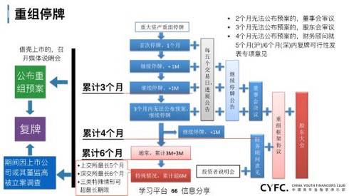 金融视界 上市公司资本运作全解析——借壳、并购与重组的实战概要
